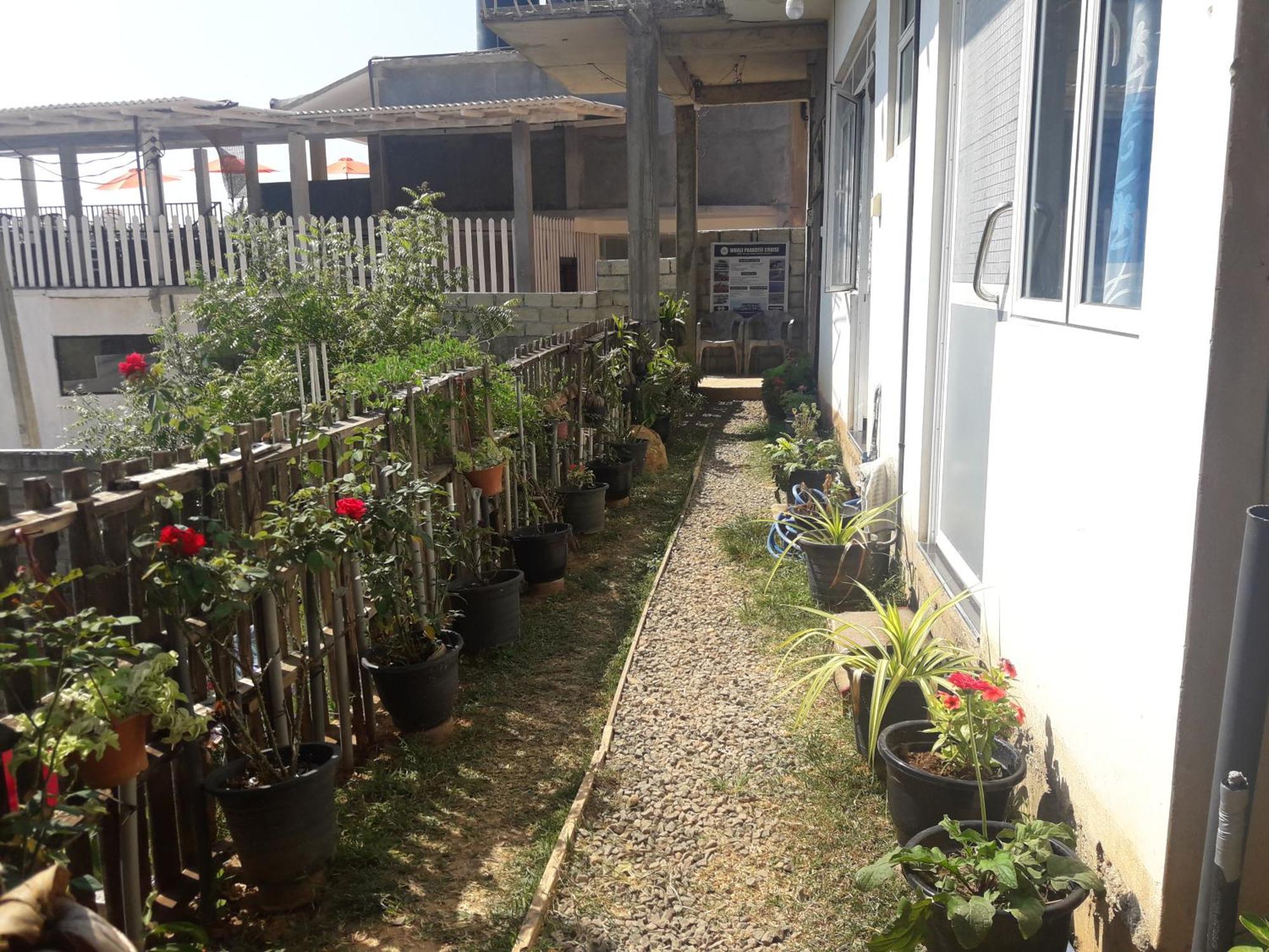 Top Sea View Guest Mirissa Rom bilde